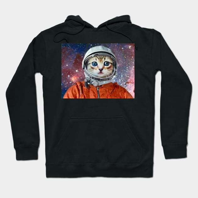 Astronaut cat Hoodie by luigitarini